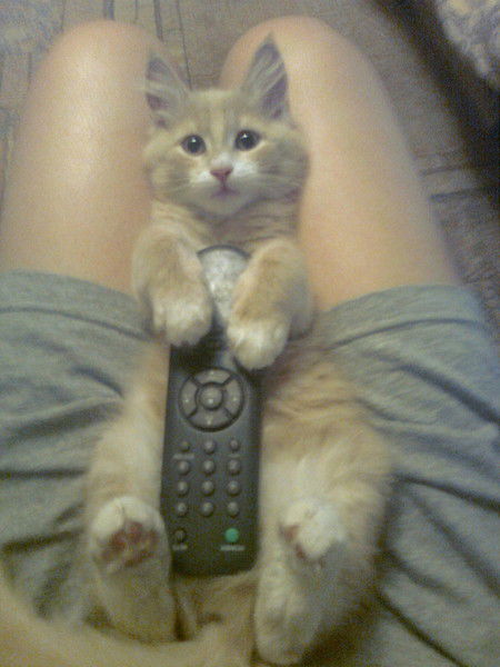 Олеся Хабиби