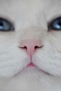 Арина Безрукова