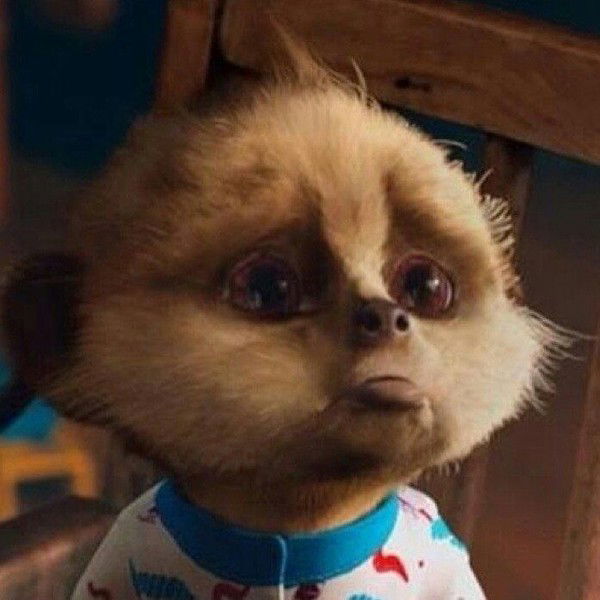 Валентина Zf