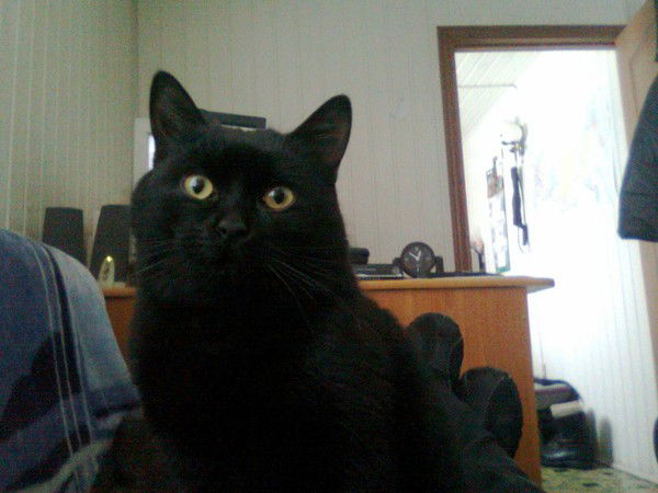 Руслан Петров