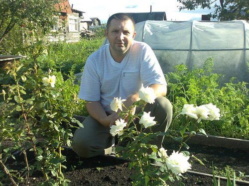 Владимир Коновалов