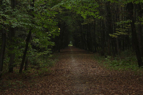 Ирина Резникова