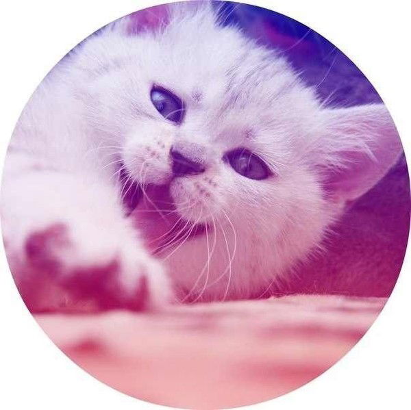 Катерина Румянцева