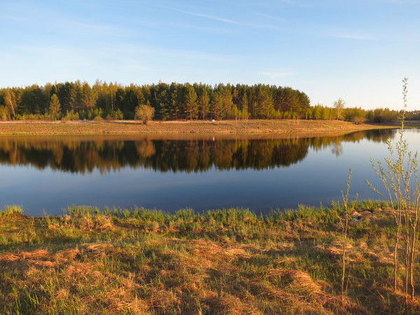 Галина Дубровина