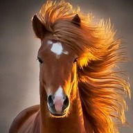 Светлана Остапенко