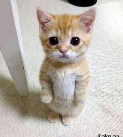 Саша Каримов