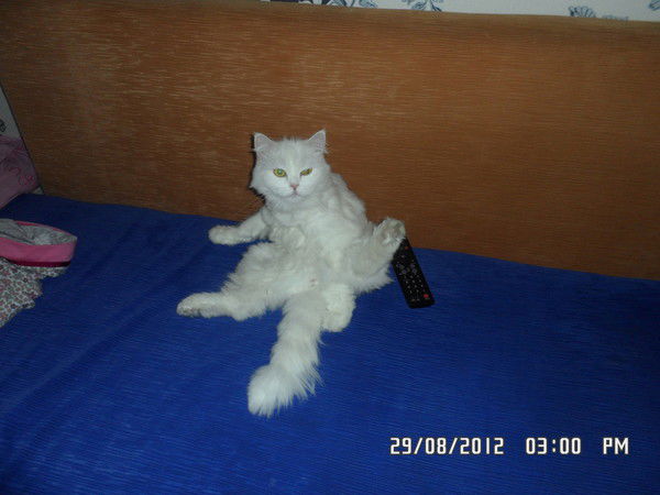 Айжана Сокова