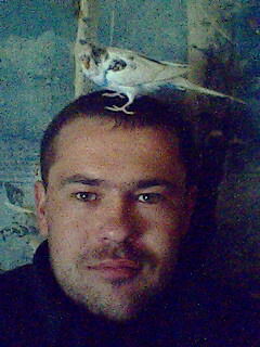 Дмитрий Титаренко