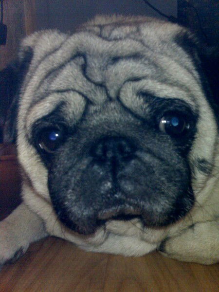 Наталия Мальгинова