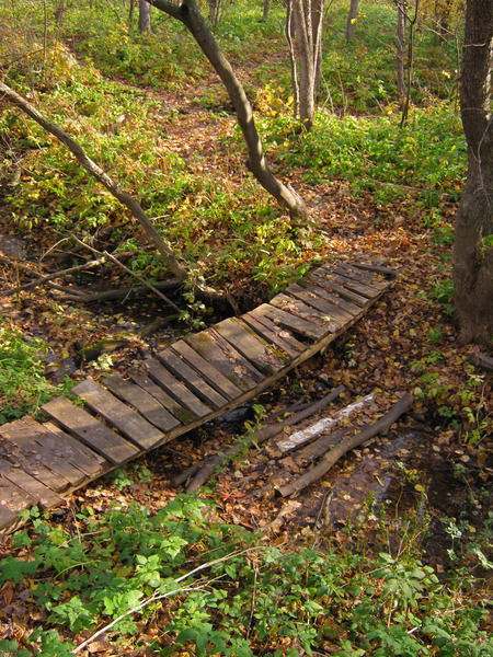 Юлия Бычкова