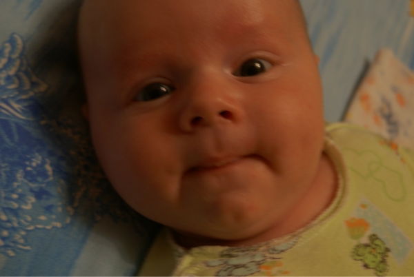 Андрей Погорелов