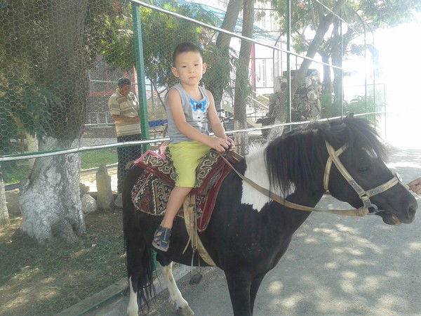 Айсулуу Каримова