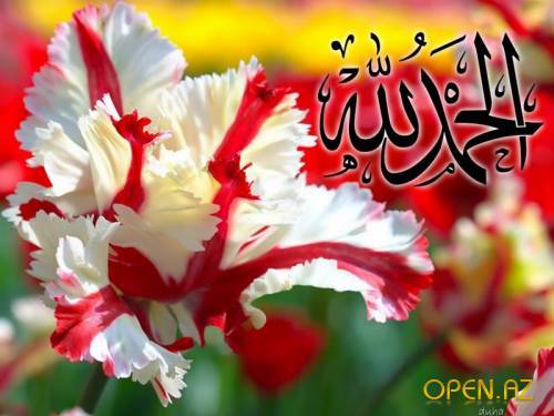 Газик Магомеднасиров