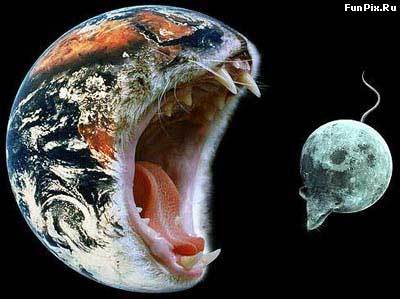 Василий Галкин