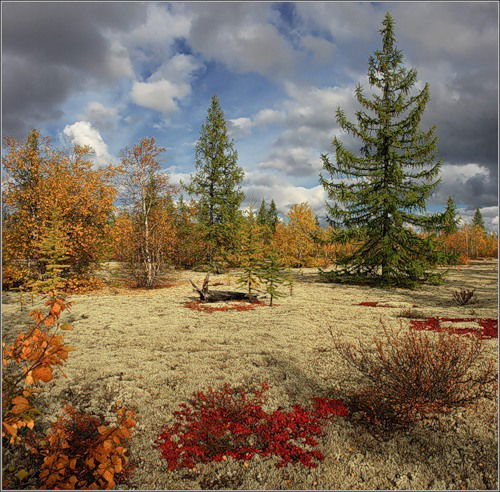 Неизвестно Неизвестно