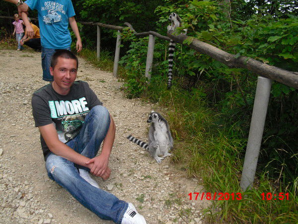 Владимир Мюллер(Грищенко)