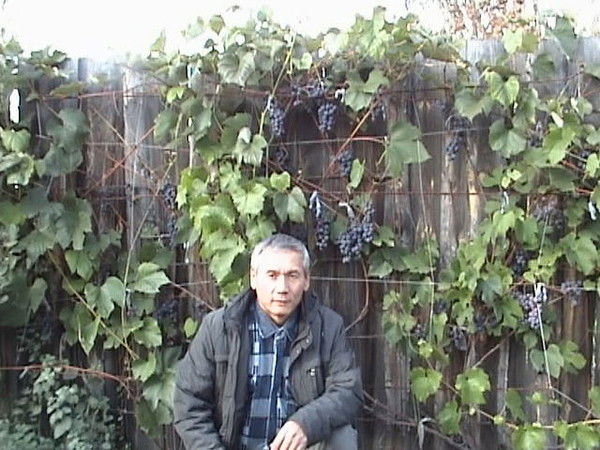 Хуснитдин Тоштемиров