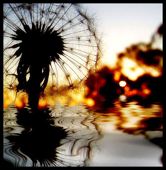 Людмила Степанова