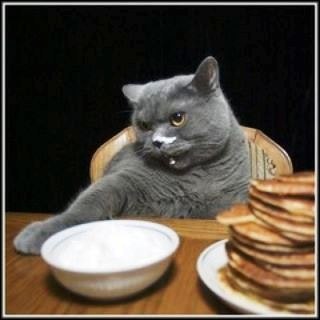 Свинцов Михаил