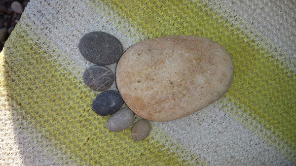 Елена Шокурова