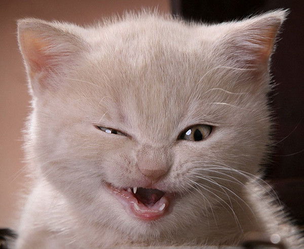 Алексей Попов