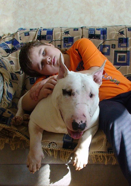 Вячеслав Андронов