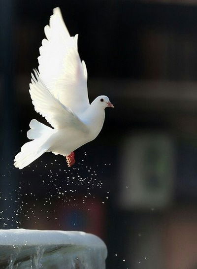 Маржан Жумабеккызы