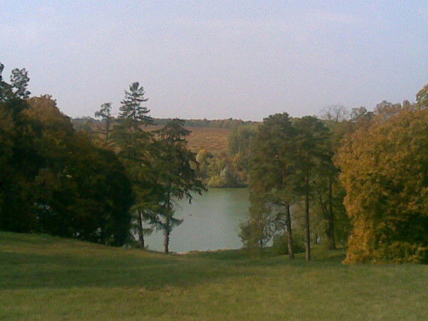 Оля Халиманенко