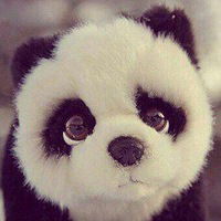 Джунайд Абдулатипов