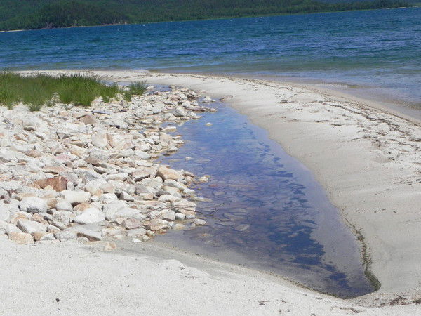 Елена Путятина