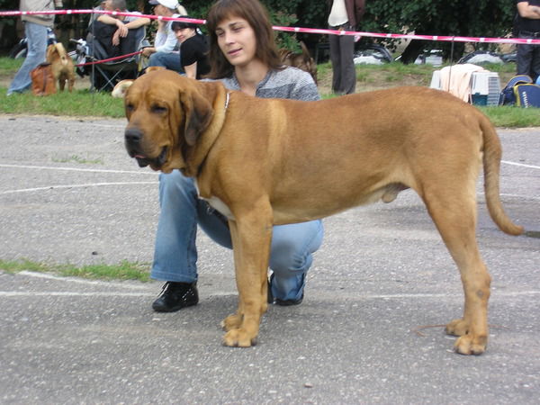 Ирина Бури-Буримская