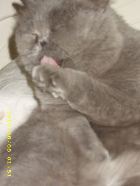 Алексей Михайлов