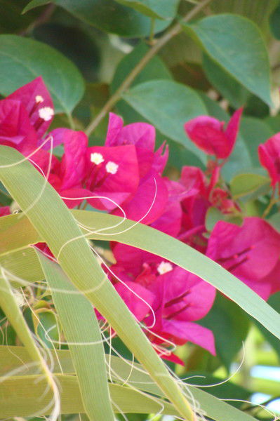 Ирина Жолобицкая