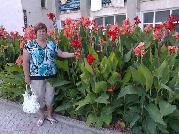 Светлана Война