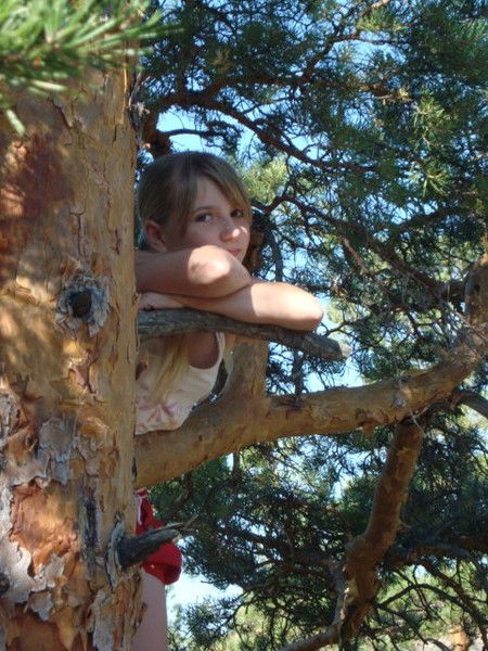 Ангелина Приймак