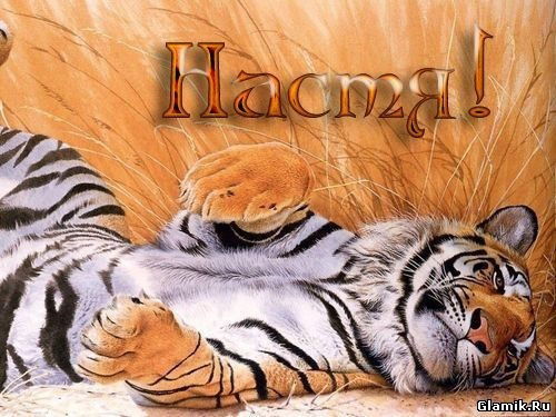 Настя Пахомова