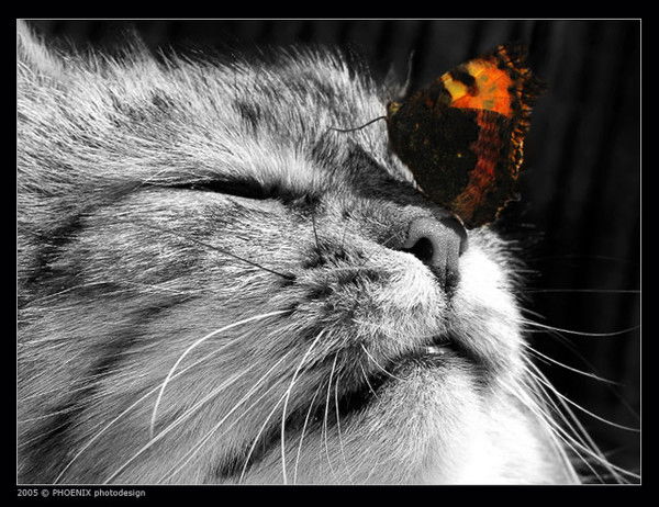 Владимир Назаров