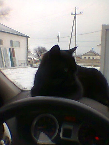 Дмитрий Супрунов