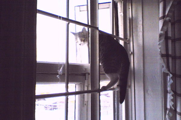 Александр Дятлов