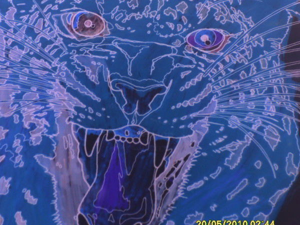 Женя Моисеев