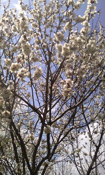 Татьяна Сергеевна