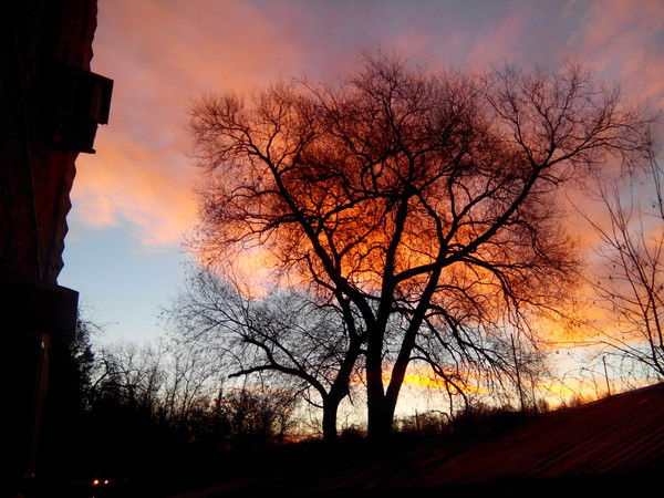 Сергей Щетинин