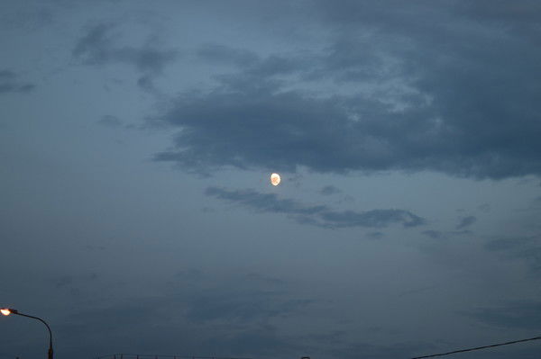 Александр Волжин