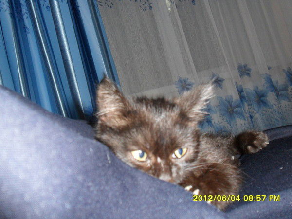 Касымов Асет