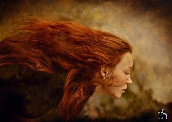 Даша Денисова