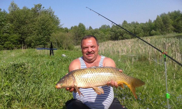 Владимир Криштапович