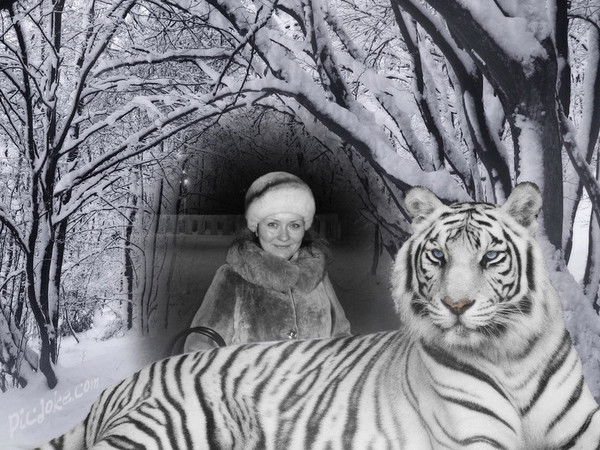 Ксения Добрынина