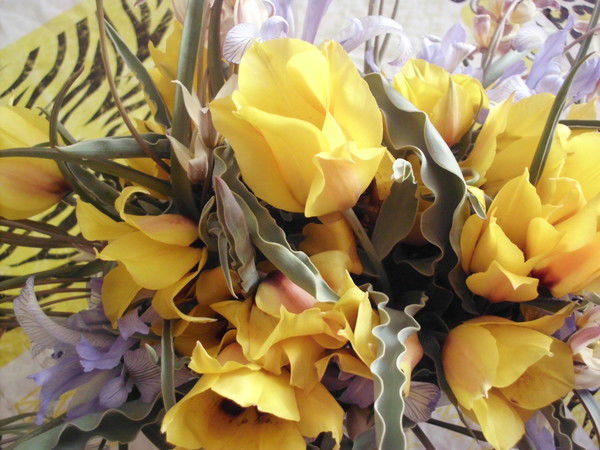 Эльмира Бекемова