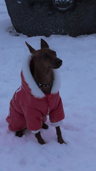 Андрей Хамидулин