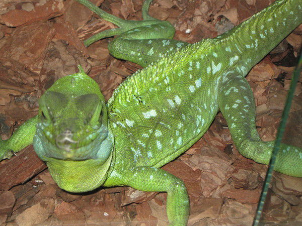 Всё Как Надо